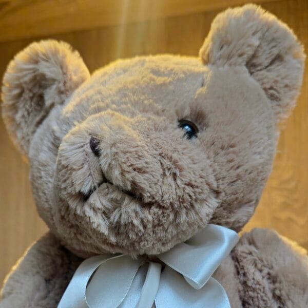 Oso de peluche personalizado aviación netjets