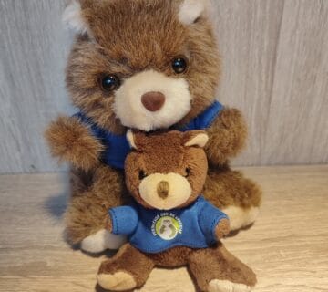 Tendencias de merchandising peluches personalizados para empresas